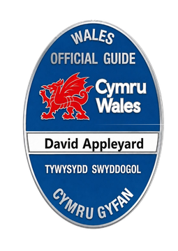 Wales Blue Badge Guide badge for David Appleyard
